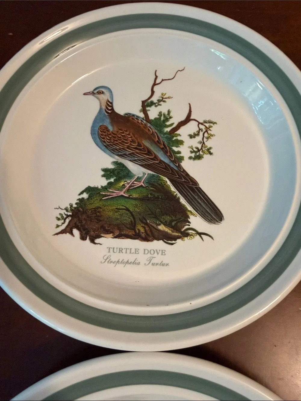 Portmeirion Birds of Britain Salad Plates in Green and White - Set of 6